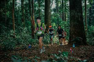 BIB: 
                            <button type="button" onclick="openModal(26129086)" class="btn btn-primary btn-sm float-right btn-popup" data-toggle="modal" data-target=".modal-high-quality">
                        <i class="fas fa-shopping-cart"></i> Add to Cart
                    </button>
                                            <button type="button" onclick="isThisMe(26129086, true)" class="btn btn-success btn-sm float-right btn-popup btn-isme hidden" data-toggle="tooltip" data-placement="bottom" title="นี่คือรูปของคุณใช่ไหม คลิกที่นี่เพื่อเอาเข้าอัลบั้ม">
                        <i class="fas fa-plus"></i> Add to album
                    </button>
                    <button type="button" onclick="isThisMe(26129086, false)" class="btn btn-warning btn-sm float-right btn-popup btn-isnotme hidden">
                        <i class="fas fa-ban"></i> Remove from album
                    </button>